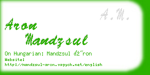 aron mandzsul business card